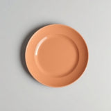 Warm Dinner Plate
